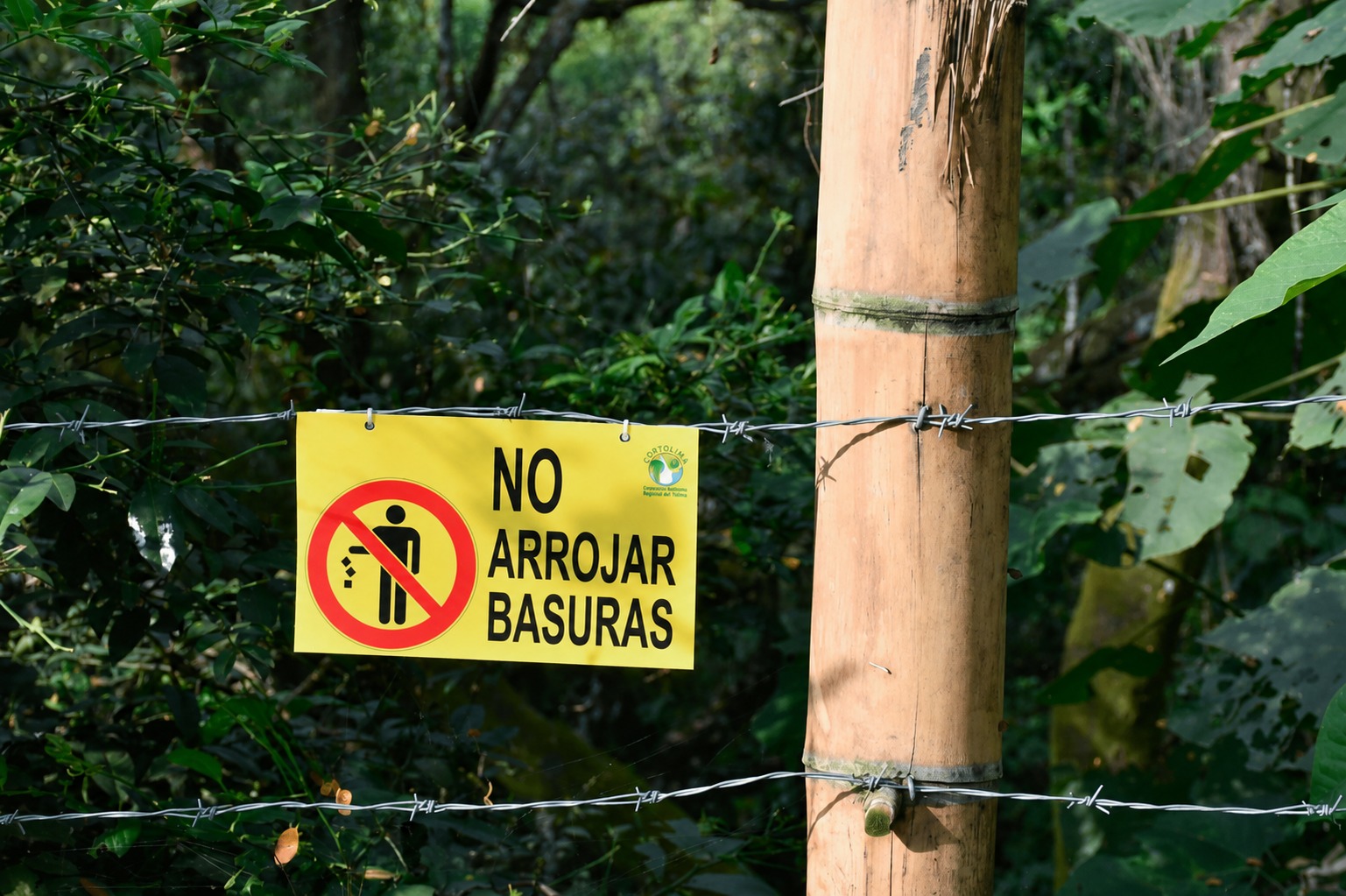 ¡Espinalunos, es el momento de transformar su comunidad! Cortolima abre convocatoria para fortalecer ocho proyectos ambientales