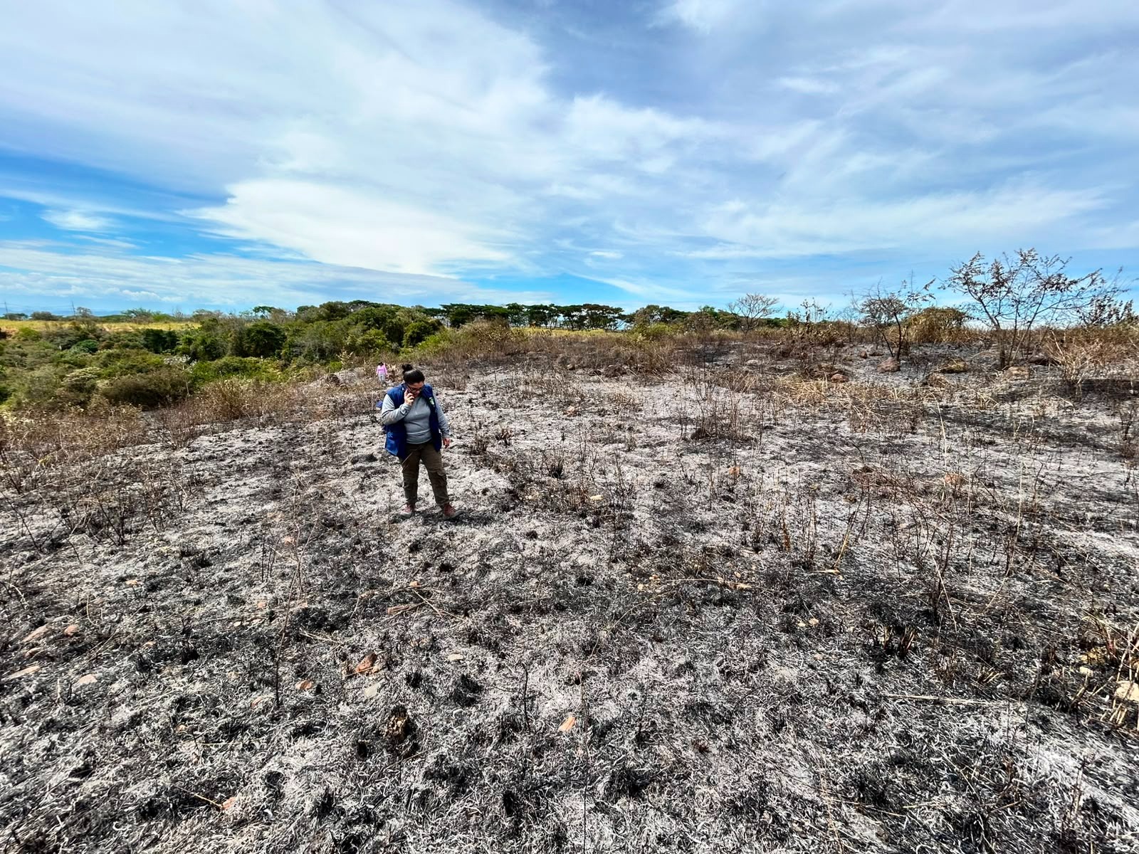 Cortolima evalúa y acompaña la recuperación ambiental de zonas afectadas por incendios forestales