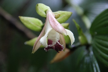 id659b